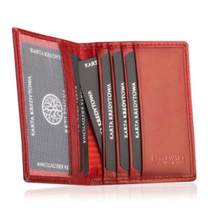 etui na karty biznes