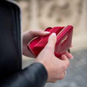 PORTFEL DAMSKI BPD-BS-1044