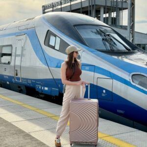 duża walizka sinope