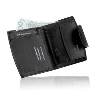 l13 bpd dz 319 czarn (2)