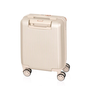 bwa 029 xs bez n (2)