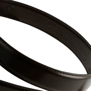 brązowy automatyczny pasek męski elite brązowy, 105